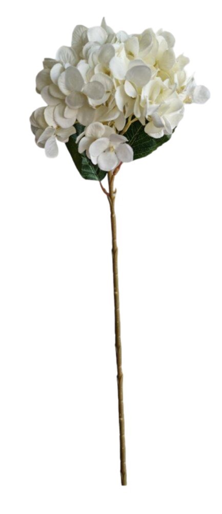 HASTE DE HORTÊNSIA