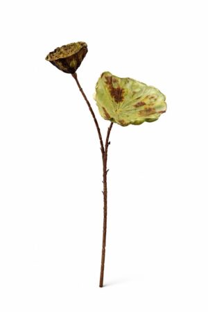 HASTE LOTUS X 2 C/ 73 CM