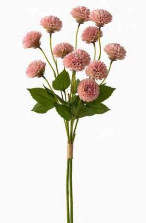 ATADO MINI CRISANTEMOS "MORIFOLIUM"