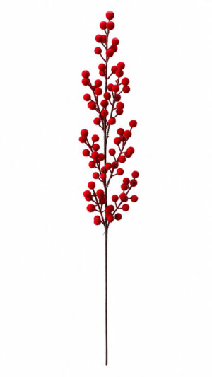HASTE DE BAGAS