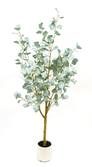 PLANTA DE EUCALIPTO