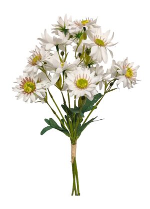 ATADO DE MARGARIDAS SELVAGENS X 3 C/ 44 CM