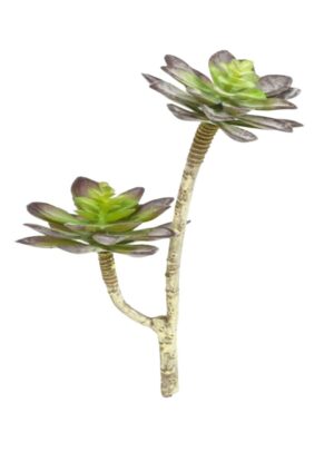 HASTE SUCULENTA X 2 C/ 29 CM