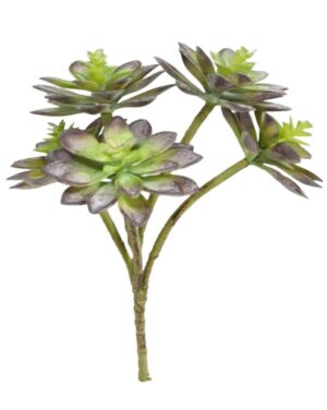 HASTE SUCULENTA X 5 C/ 32 CM