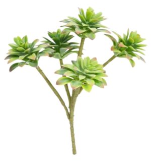 HASTE SUCULENTA X 5 C/ 33 CM