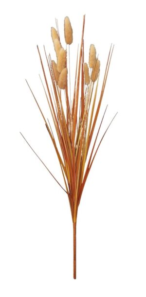 MOLHO DE "LAGURUS"