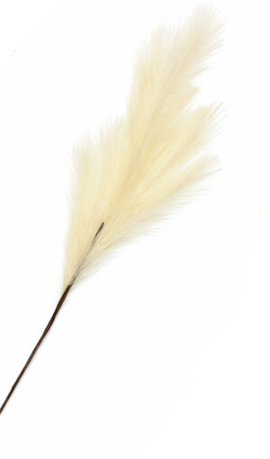 HASTE DE PLUMAS