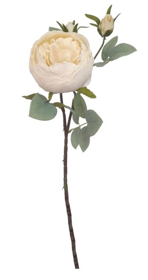 HASTE DE PEONIA