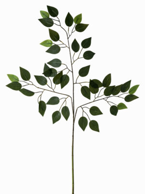 FOLHA DE FICUS X 3 C/ 60 CM