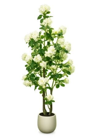 PLANTA DE CAMÉLIA