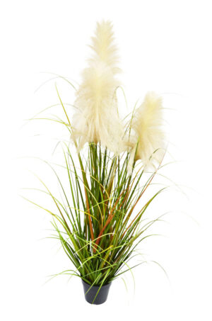 VASO DE PLUMAS