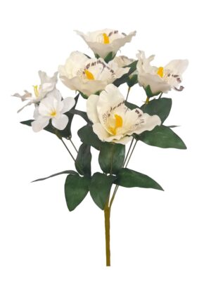 RAMO DE ORQUIDEAS