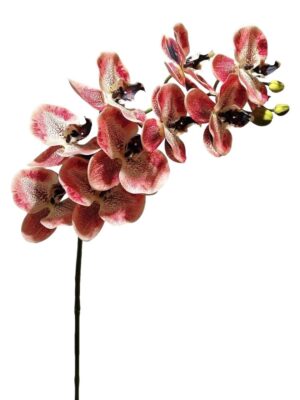 HASTE ORQUIDEA X 1
