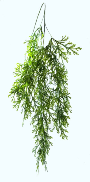 PENDENTE CEDRO