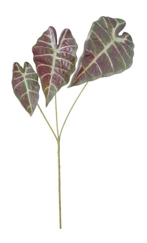 HASTE DE ALOCASIA X 3