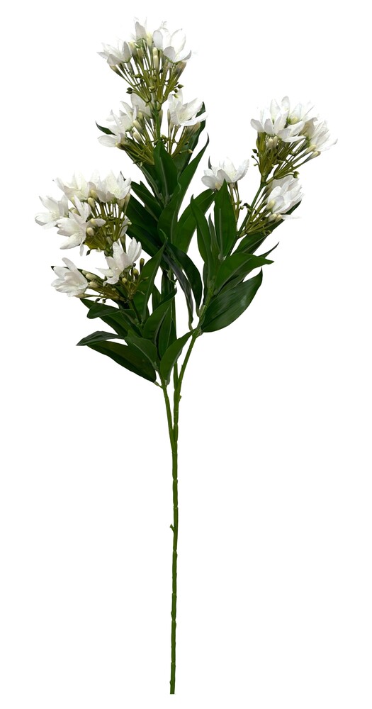 HASTE DE FLOR DE JASMIM X 3